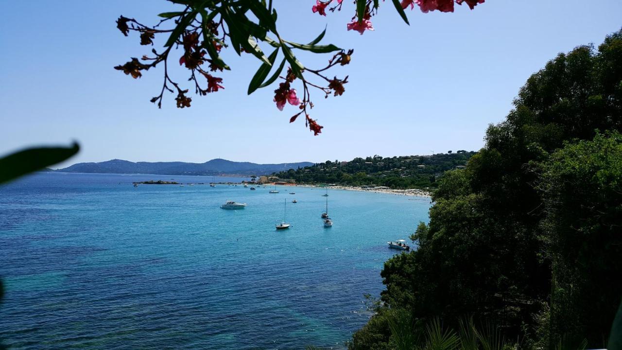 Les Iles D' Or *