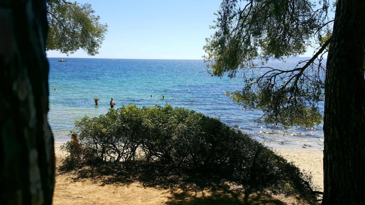 Les Iles D' Or Bormes-les-Mimosas