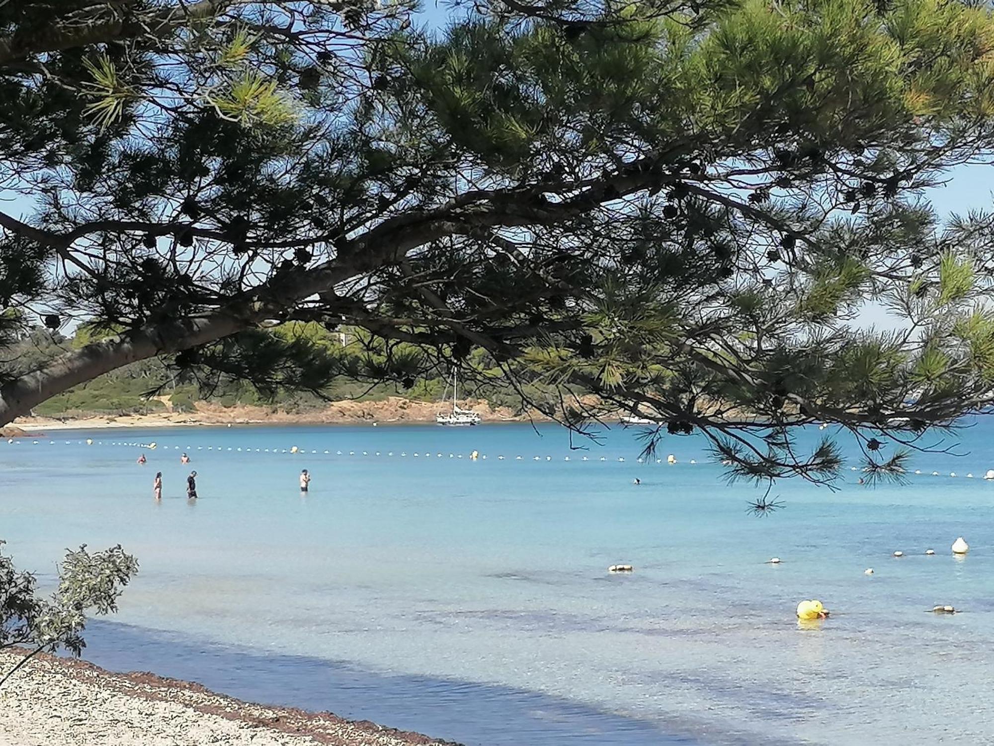 Les Iles D' Or * Bormes-les-Mimosas