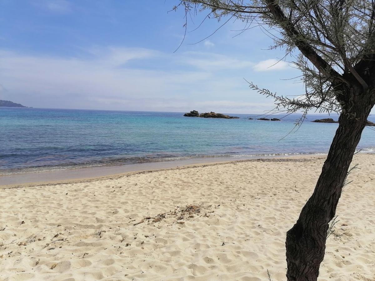 Appartamento Les Iles D' Or
