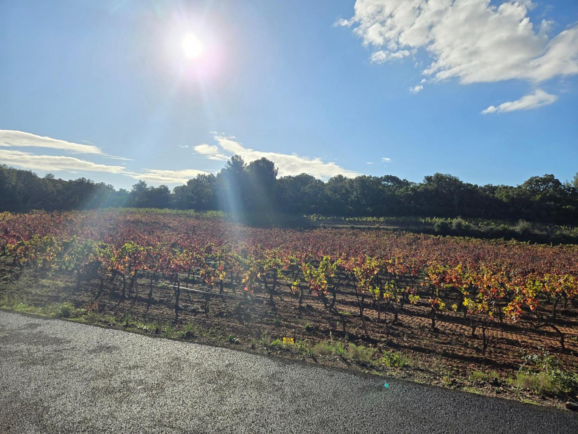 Les Iles D' Or * Bormes-les-Mimosas
