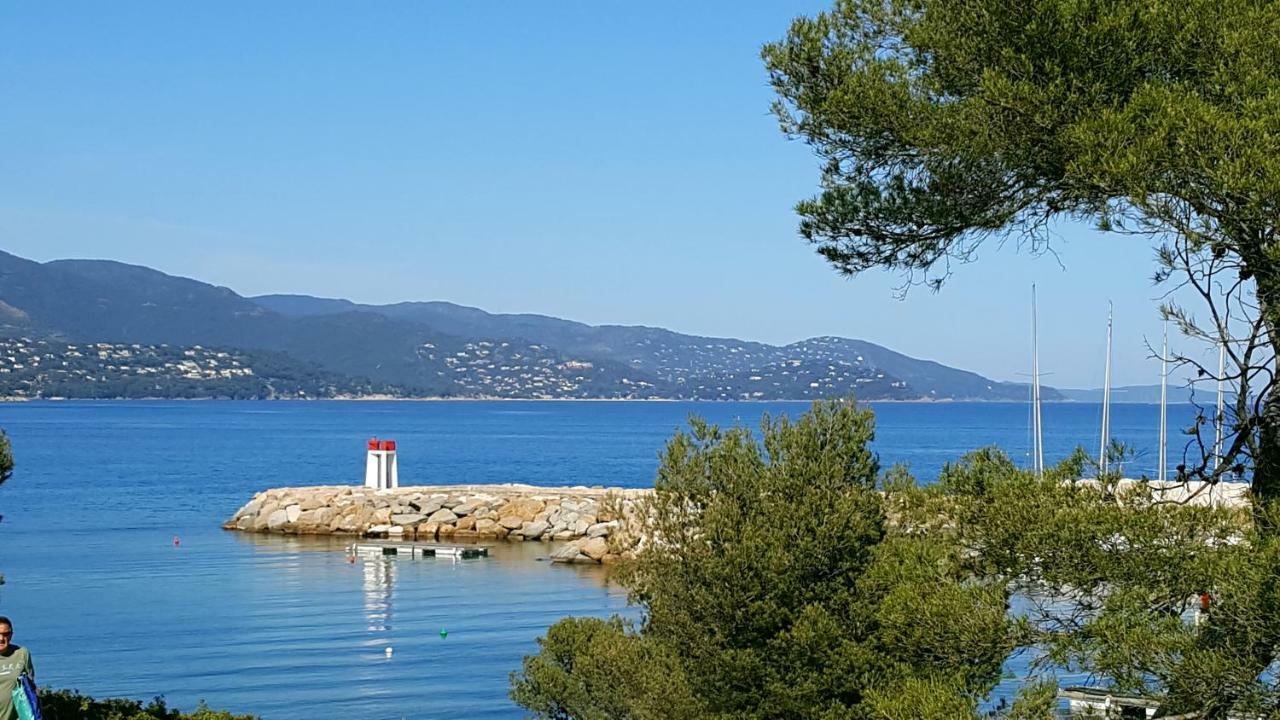 Les Iles D' Or Apartment